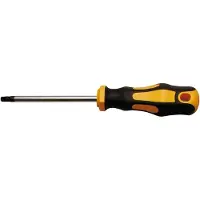 Bgs Schroevendraaier - Torx T30 - Meslengte 100 mm