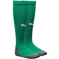 Puma Voetbalkousen LIGA Core - Sport, groen/Wit