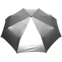 Parasol Automatische paraplu dames, lang, windbestendig, 5 kleuren