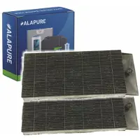 Alapure 2x Koolstoffilter voor Electrolux 50263848009 / Type B