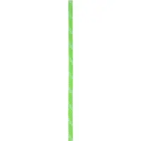 Edelrid Static Low Stretch Rope 11,0mm x 70m, groen 2023 Klimtouwen