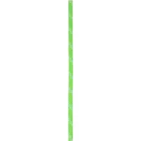 Edelrid Static Low Stretch Touw 11,0mm x 60m, groen 2023 Klimtouwen