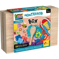 Liscianigiochi Educatief Spel Lisciani Giochi Montessori Box (FR)