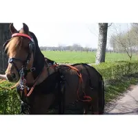 Hb Men Vliegendeken met hals