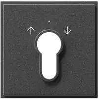 Gira 066467: Accessoires voor elektrische schakelaars (066467)