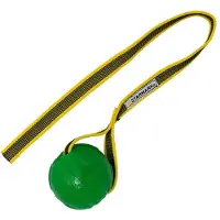 Starmark - GripCord Chew Ball - M