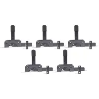 Alberts 822606 DURAVIS tuinpoortval, speciaal voor smalle houten frames, zwart diamant duplex gecoat, plaat 120 x 50 mm, set van 5