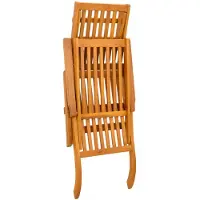 vidaXL Ligstoel die kan leunen en vouwen 55 x 146 x 91 cm