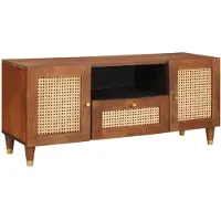 vidaXL TV-kast, bruin, 105 x 33,5 x 46 cm, massief mangohout