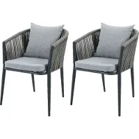 Axi Faye Stoelen Antraciet – Set 2 stuks