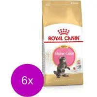 Royal Canin 6x Kattenvoer Droog Maine Coon Kitten 2 kg