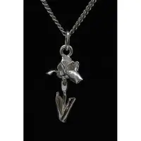 MOOYE ® - Collectie Zilveren Iris ketting hanger
