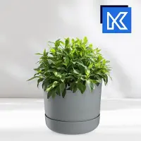Kadax Bloempot met onderzetter, kunststof plantenpot, minimalistische plantenbak, decoratieve pot voor bloemen, cactussen en kruiden (25 cm, grijs)