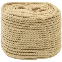 vidaXL Boottouw 6 mm 500 m Naturel