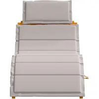 vidaXL Ligbed 2 st Massief Acacia Hout Taupe
