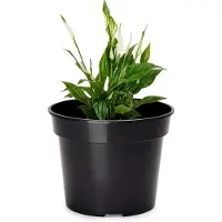 Garronda Plantenpot Bloempot - Kunststof - Rond - Plantenbak – Zwart - 1 Stuk - Zwart, 26cm H=20cm - GD-NIC-SBX90