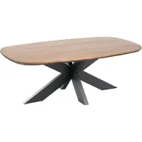 Profijt Meubel - Salontafel Nocona mangohout 120x70 cm Deens ovaal - Spinpoot - Mangohout - Bruin