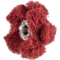 PFERD TOOLS 44698253 Schuurster Diameter 25 mm 20 stuk(s)