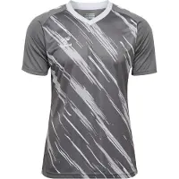 Hummel Functioneel shirt 'Match Triumph' lichtgrijs / donkergrijs