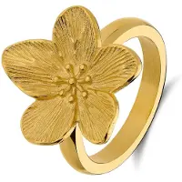 Lucardi Ring goud