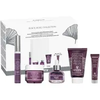 sisley Collection Rose Noire