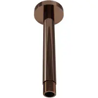 FortiFura Calvi Plafondarm - rond - 20cm - PVD - geborsteld koper SW970042