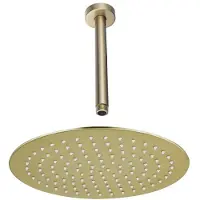 FortiFura Calvi Hoofddouche - 30cm - rond - plafondarm - 20cm - PVD - geborsteld messing (goud) SW1139122/SW720557