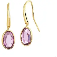 The Jewelry Collection Huiscollectie Oorhangers Amethyst Geelgoud Glanzend 27 mm x 7.5 mm