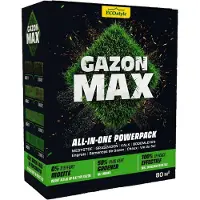Ecostyle Gazon Max 4 Kg