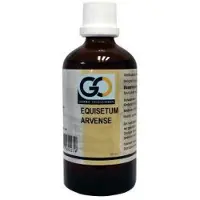 Go Equisetum arvense 100 ml