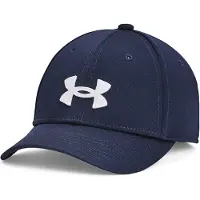 Under Armour Blitzing Pet
