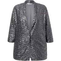 Miamoda Blazers zilver