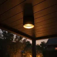 Artdelight Plafondlamp Ormond zwart met gouden binnenkant