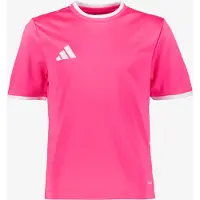 Adidas Functioneel shirt 'Entrada26' pink