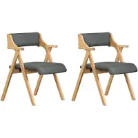 SoBuy 2 opvouwbare stoelen grijs beukenhout 120 kg