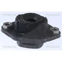 TRISCAN 8500 11925 Veerpootlager