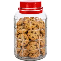 Alessandro XXL voedsel opslag container - glas - 8 liter - afsluitdop en hengsel - transparant/rood - Weckpotten - Opslagpotten - 20 x 34 cm