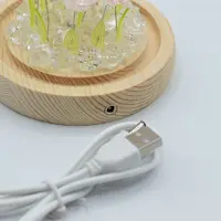 Ancient Wisdom Bloemenpracht Tuinkoepel - 10 Roze Rozen - LED USB