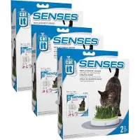 Catit Senses Grass Garden Navulling - Kattenspeelgoed - 3 x 2 stuks