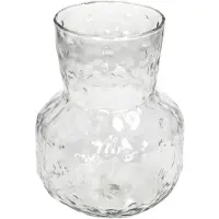 HD Collection Glazen Vaas Helder - Helder | Decoratieve Vaas voor Bloemen & Takken