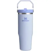 Stanley Gourde The IceFlow Flip Straw 2.0