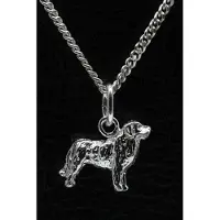 MOOYE ® - Collectie Zilveren Berner sennenhond ketting hanger - klein