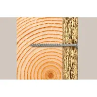 Fischer 670528 Power-Fast II Spaanplaatschroef 6 mm 90 mm Kruiskop Pozidriv Staal Galvanisch verzinkt 100 stuk(s)
