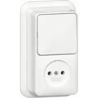 Technische Unie Gira Wisselschakelaar + Wandcontactdoos Opbouw Wit 447611