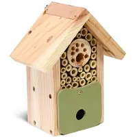 Intratuin Bijenhuis Bee Barn Groen 18,5 X 12,5 X 22 Cm