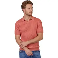 Baileys Polo v-hals gestreept normale fit rood
