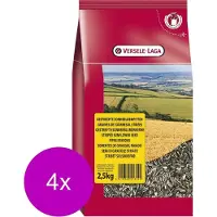 Versele-Laga Gestreepte Zonnebloempitten - Vogelvoer - 4 x 2.5 kg
