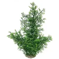 Ebi Aqua Della Aquariumplant Phoenix - Groen - 56cm