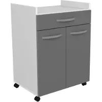 Bigbuy Oslo geserveerd 60 cm - 1 lade en 1 deur - L 60 x D 44 x H 81 cm - Briljante grijze kleur - Ekipa