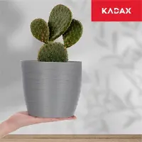 Kadax Bloempot van kunststof, diameter 11-19 cm, 7 kleuren, eenvoudige plantenpot, moderne plantenbak, robuuste bloempotbescherming, ronde pot, diameter 17 cm, grijs